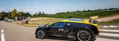 Spotted : La Bugatti Veyron Grand Sport Vitesse Elizabeth Junek.
